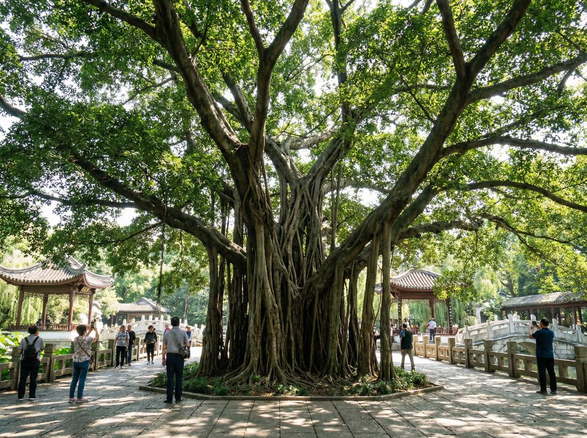 香蕉视频社区顾问王雅琴